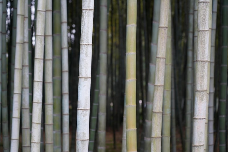 Eco-Friendly Materials